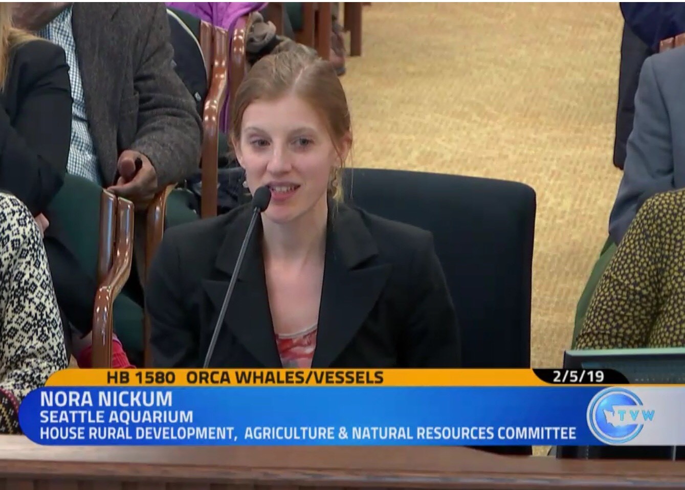 Seattle Aquarium Ocean Policy Manager Nora Nickum testifying for protections for our local orcas during the most recent state legislative session.