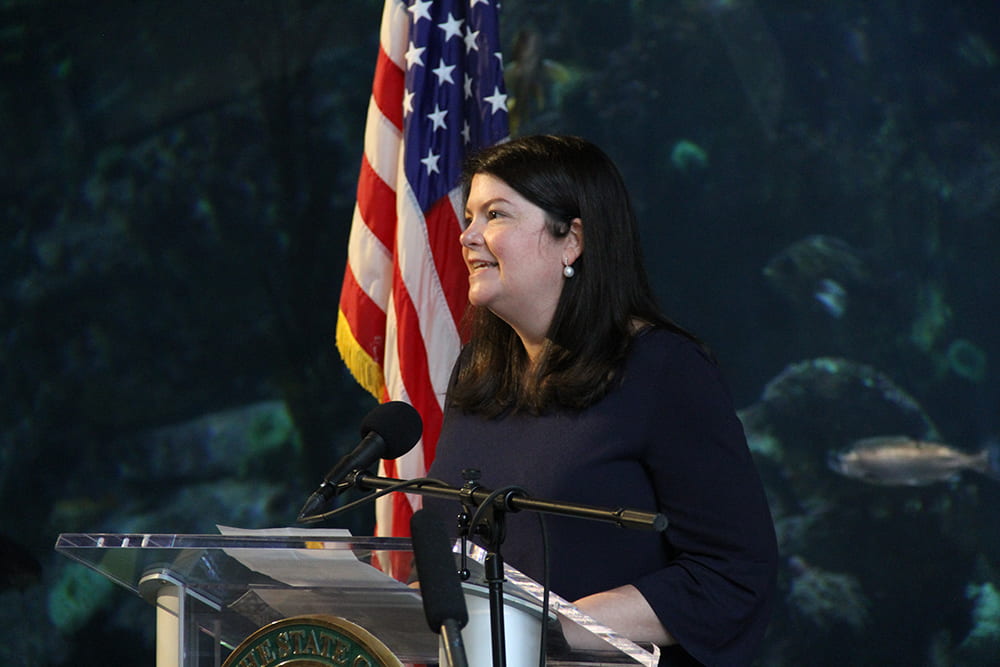 Representative Berry speaking at a podium.