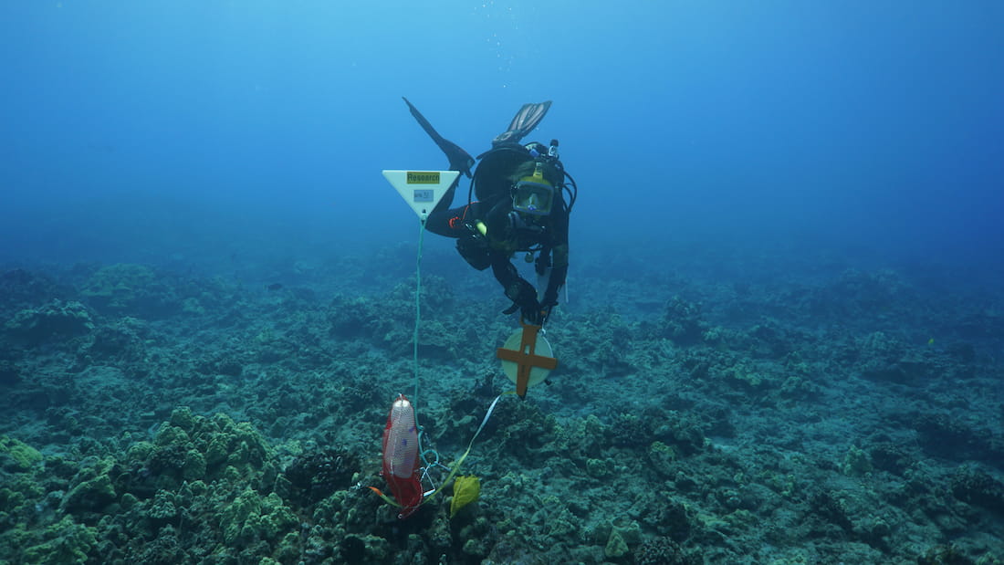 Climate resilience in coral reef fish communities