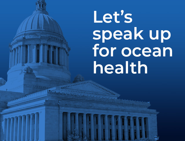 Speaking up for ocean health: 2023 priorities in the Washington legislature