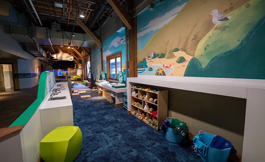 The Seattle Aquarium's caring cove exhibit play space showing multiple play areas for children.