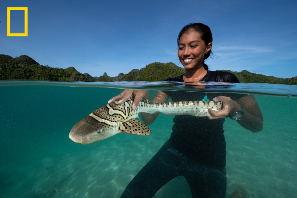 Nesha Ichida stands in clear water up to their shoulders and holds on to an Indo-Pacific leopard shark pup before releasing it.