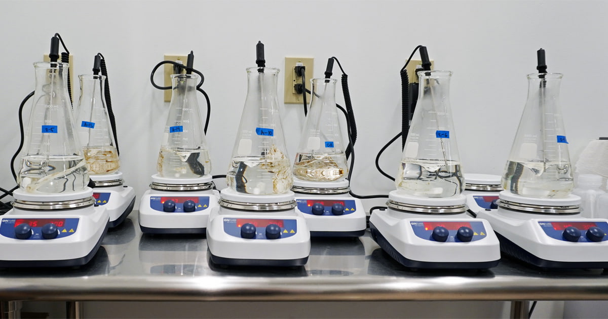 A number of testing beakers set up on a table each containing a solution simulating the stomach of a whale for an experiment on how plastic alternatives might be digested.
