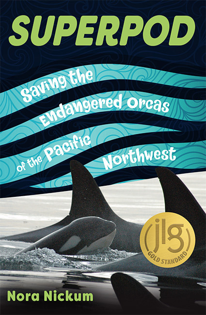 Photo of orcas at the surface of the ocean featured on the cover of the book Superpod: Saving the Endangered Orcas of the Pacific Northwest by Nora Nickum.