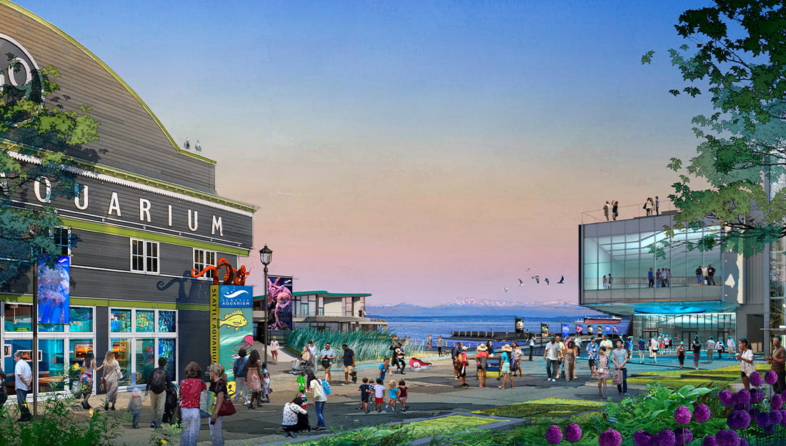 A rendering of the future Seattle Aquarium campus featuring Pier 59, Pier 60, and the Ocean Pavilion.