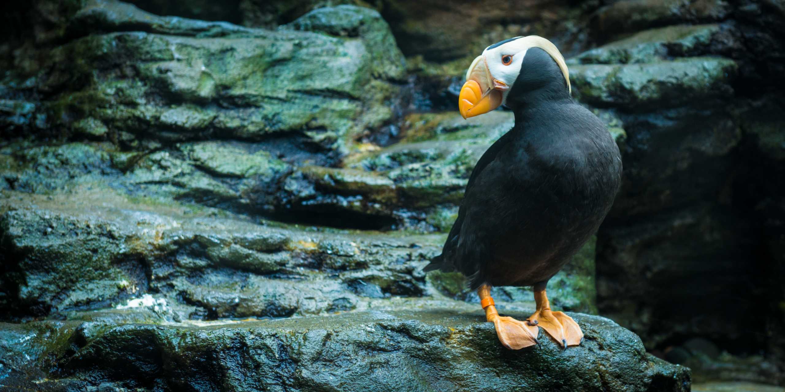 Which SEAlebrity would be your dream locker buddy? Take our quiz and find out!