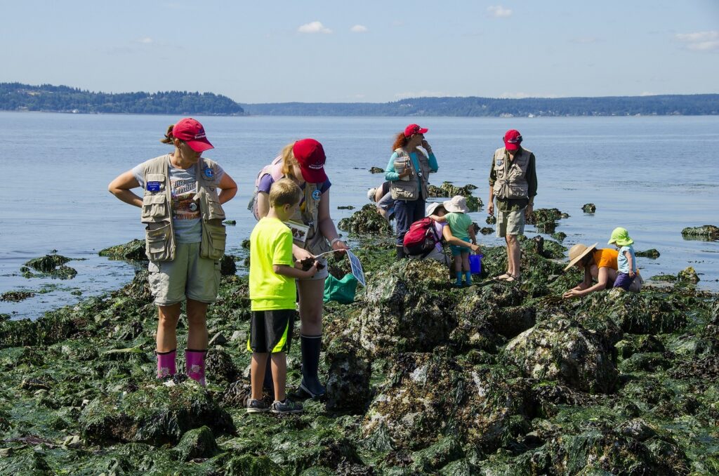 Ryan Hawk, Beach Naturalists, Alki
Photo release on file, Alki, West Seattle, Beach Drive, low tide, beach naturalist
Ryan Hawk: Beach Naturalists: Alki 07/14/2015
Seattle Aquarium beach naturalist program
lowtide beach