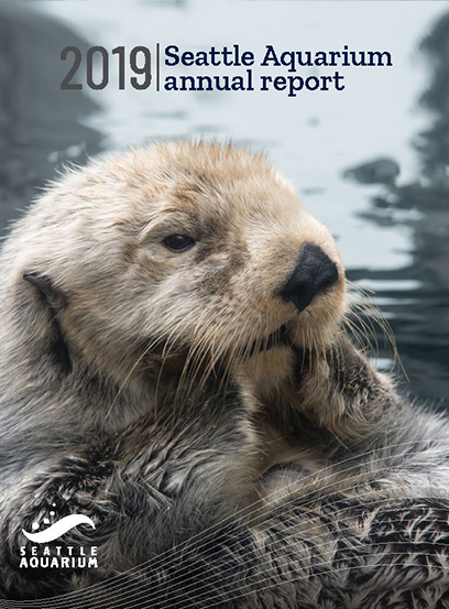 A photo of a sea otter rubbing its face. Text at the top of the image reads "2019 Seattle Aquarium annual report." The Seattle Aquarium logo is in the bottom left.