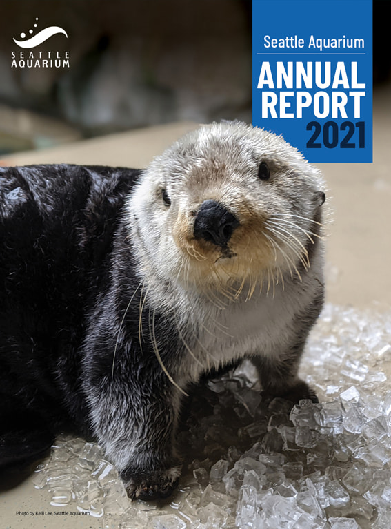 A photo of a sea otter standing on top of a pile of ice cubes. The Seattle Aquarium logo is in the top left corner. The top right corner features a small banner that reads "Seattle Aquarium Annual Report 2021."
