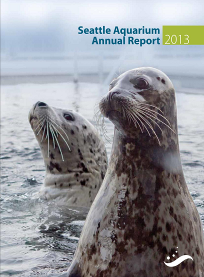 A photo of two harbor seals peeking out of the water. Text in the top right corner reads "Seattle Aquarium Annual Report 2013." The Seattle Aquarium logo is in the bottom right corner.