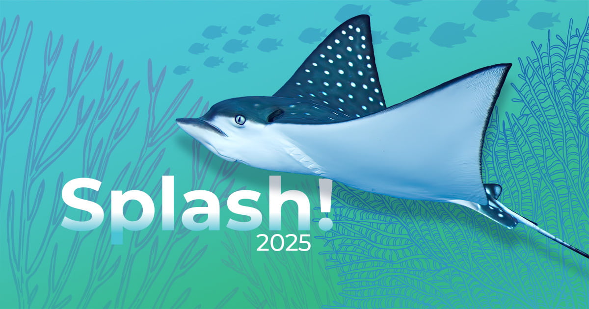 Splash! 2025 event image