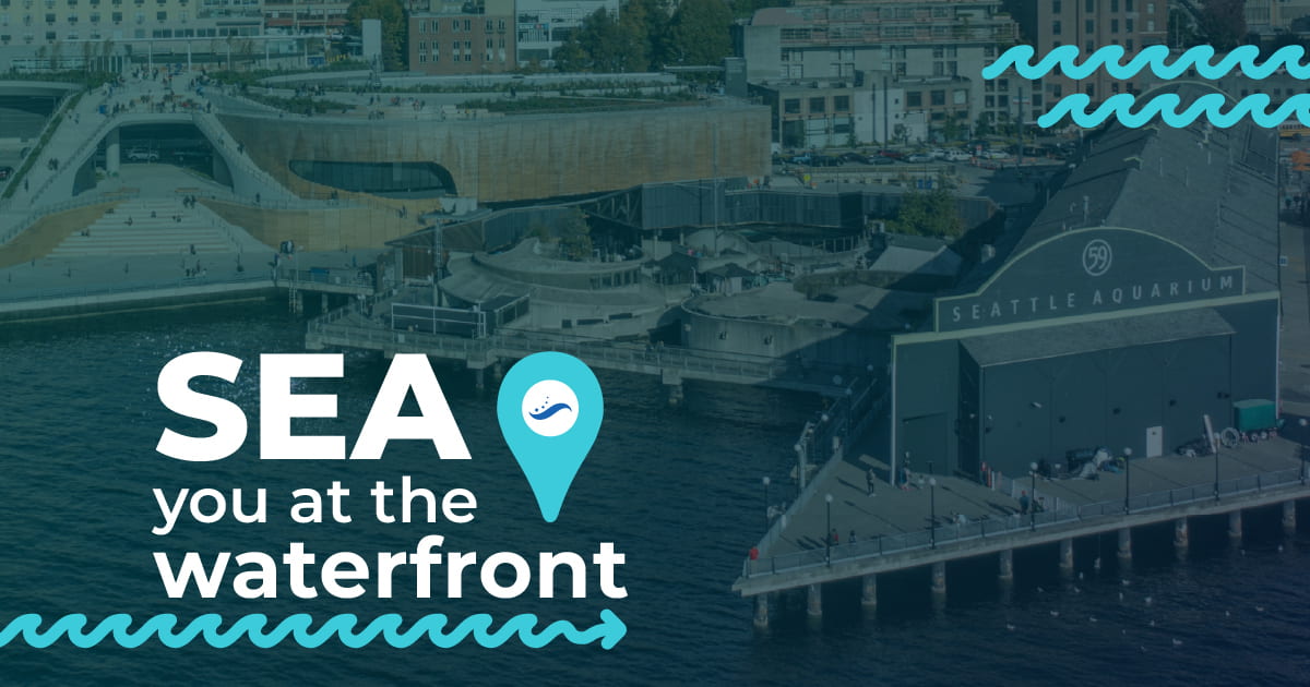SEA you at the waterfront event image