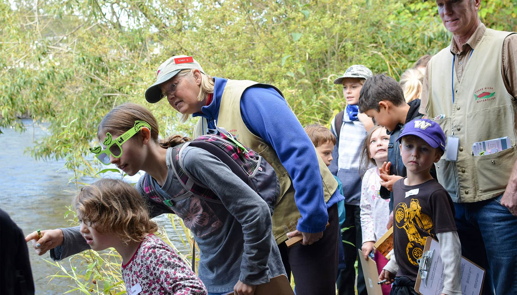 Volunteers on bank of Cedar River pointing out salmon to members of the public.