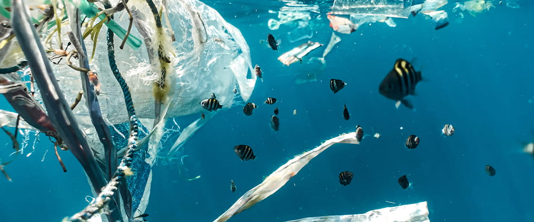 Plastic debris in the ocean.