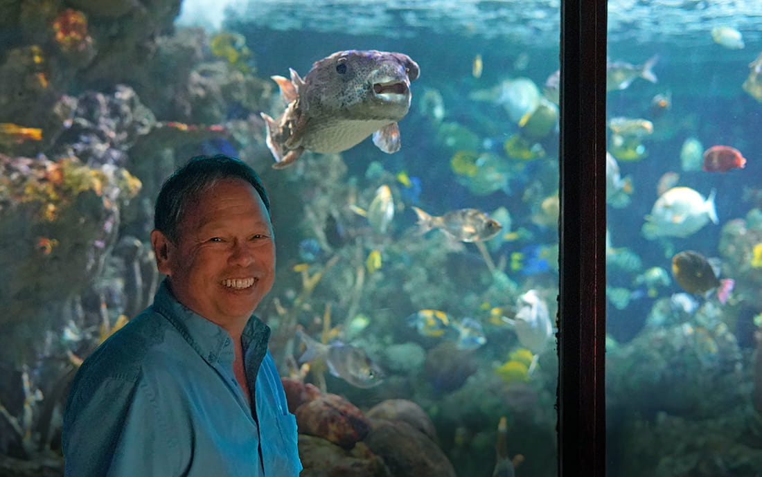 Alan Tomita, senior aquarist at the Seattle Aquarium, standing in front of a large habitat full of different tropical fish species. A large porcupinefish is swimming behind Alan in the habitat.