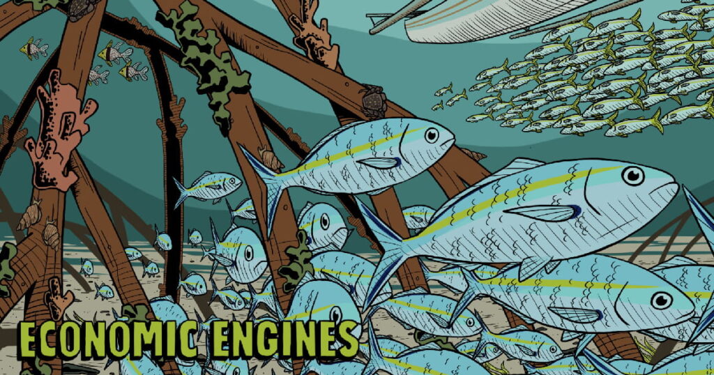 Economic Engines, drawn illustration of schools of fish swimming underwater through mangrove tree roots, the bottom of a small paddle boat visible on the surface of the water.