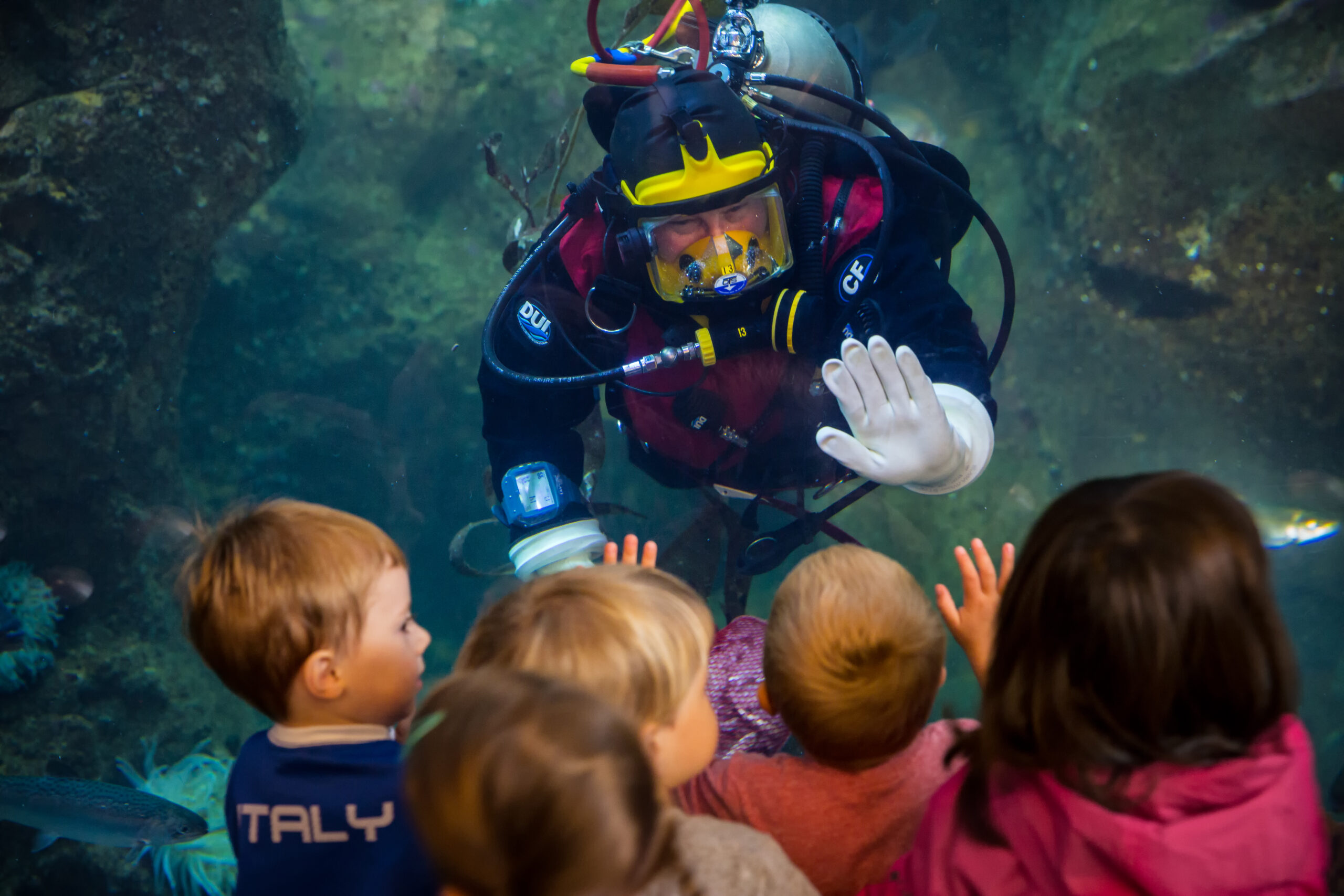 A diver smiling and waving to a group of several young children pressed up against the glass of the Window on Washington Waters habitat.