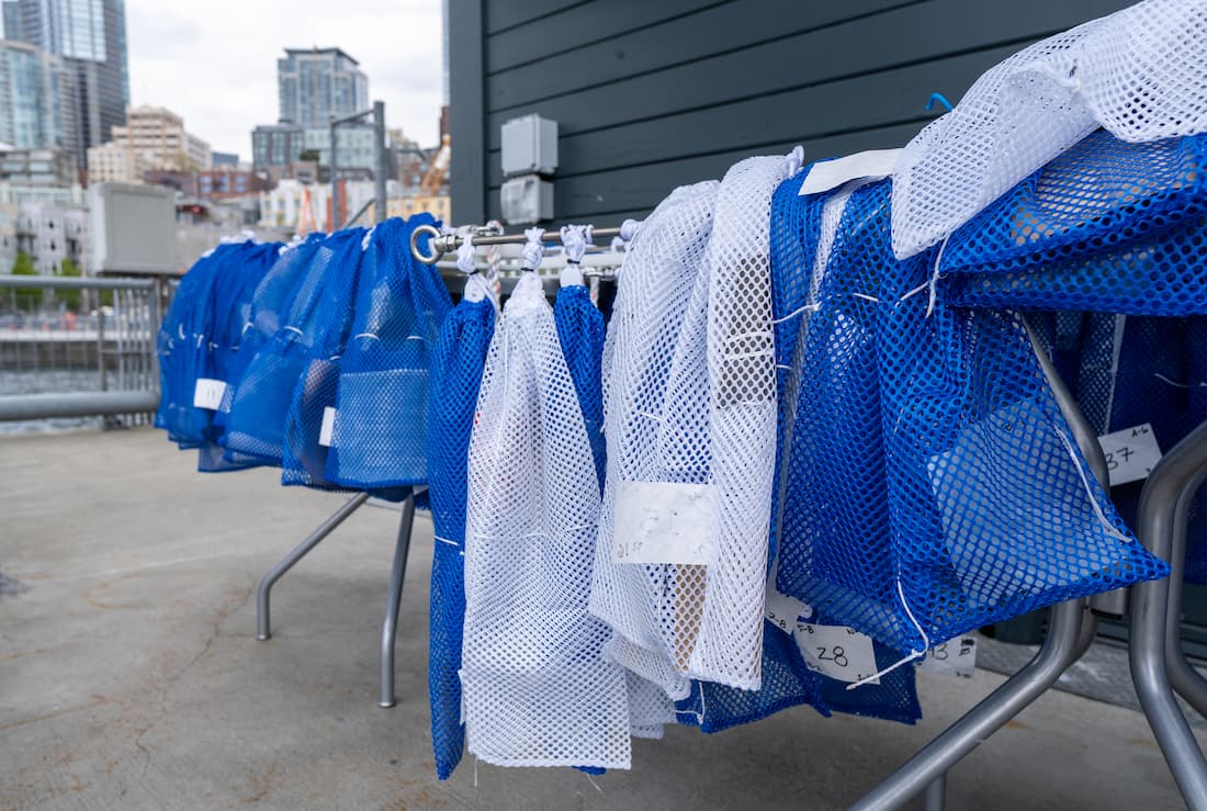 A series of mesh bags containing experimental replacements for thin-film plastics hanging from a table.