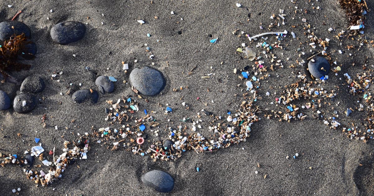 Microplastics pollution along Seattle’s waterfront: Effects of pandemic detected