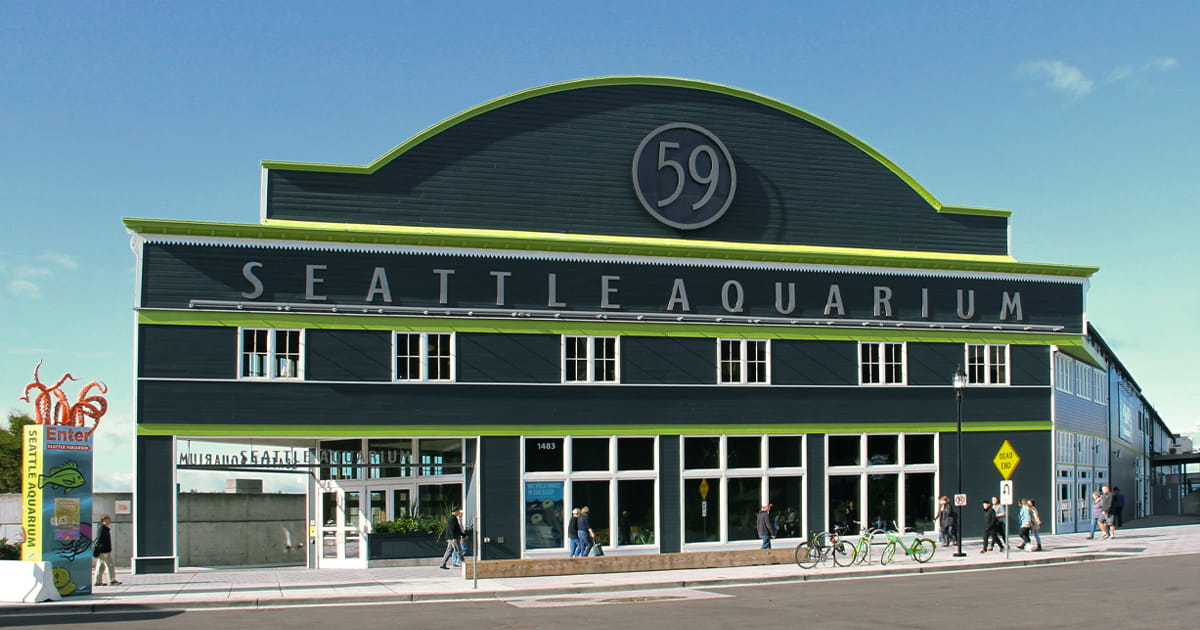 Seattle Aquarium’s commitment to anti-racism