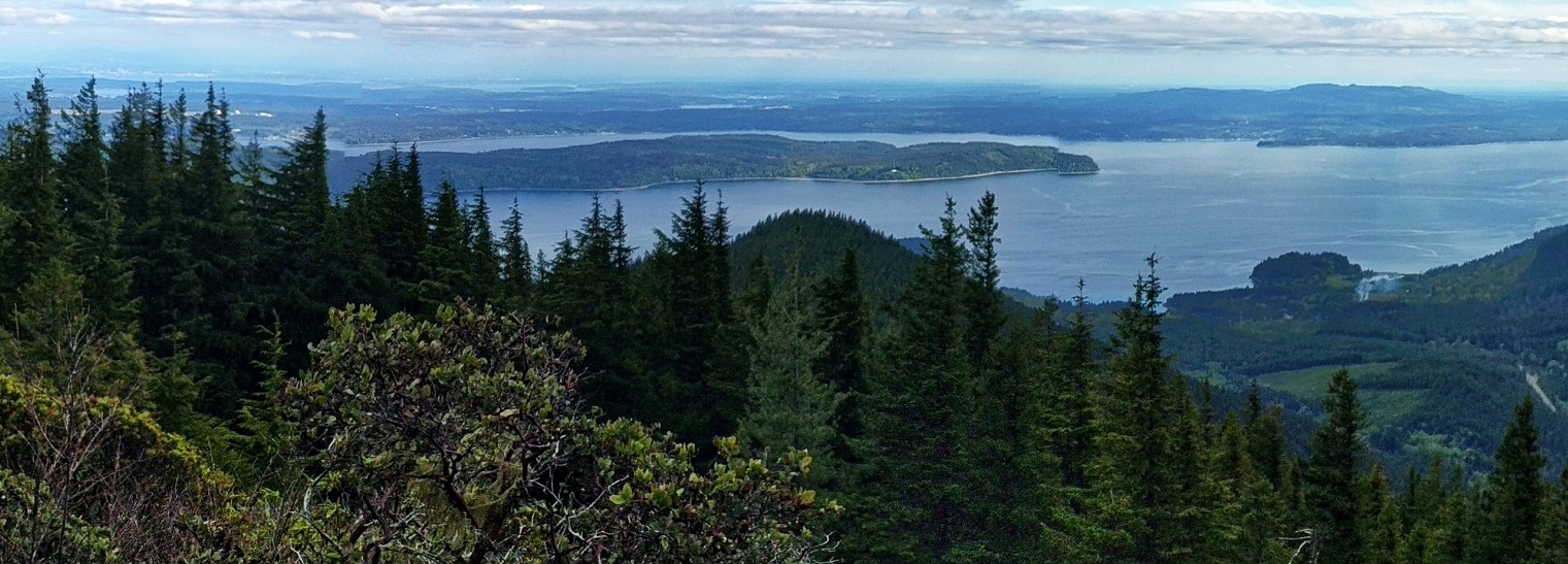 Speaking up for ocean health: 2020 priorities in the Washington legislature