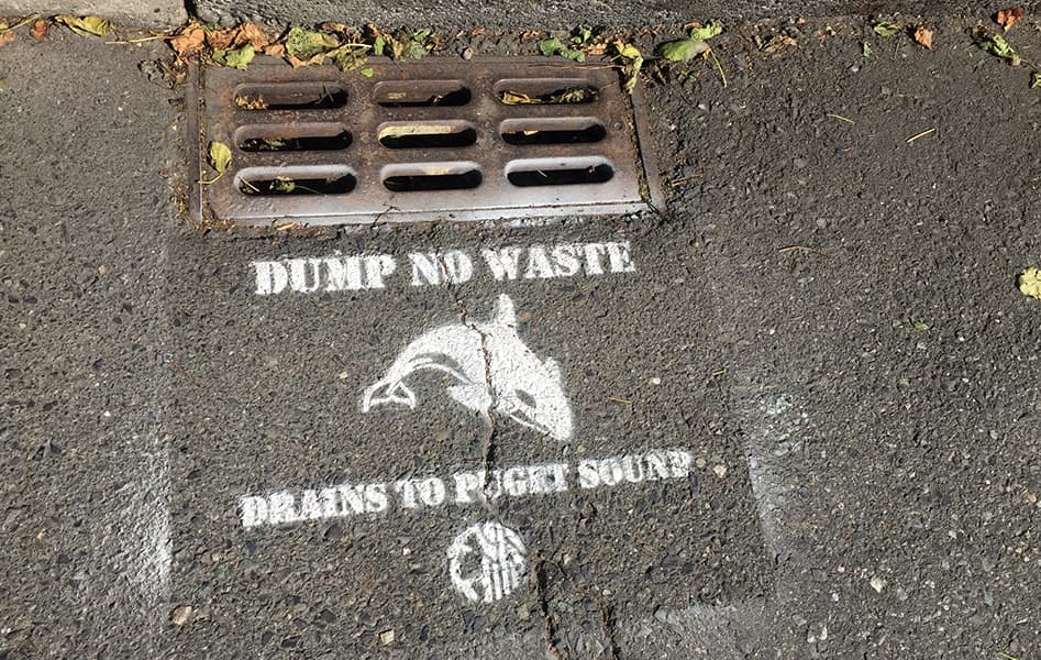 Local youth taking conservation action: Meet Hermione “Drain”ger