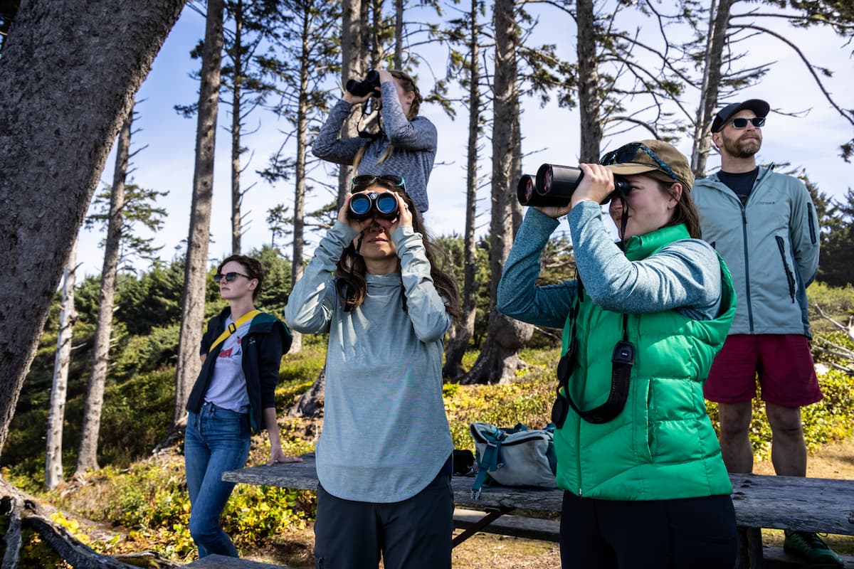 Three researchers observing sea otters on a beach; three of the researchers are holding binoculars up to their eyes.