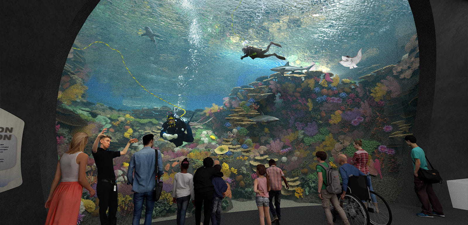 A rendering of the future The Reef exhibit at Ocean Pavilion. A floor-to-ceiling glass window showcases colorful coral, manta rays, sharks, and two divers.