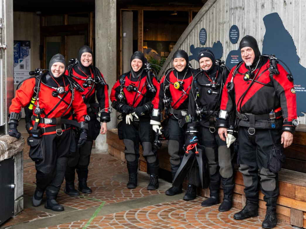 Six divers wearing red and black diving suits standing in a line.