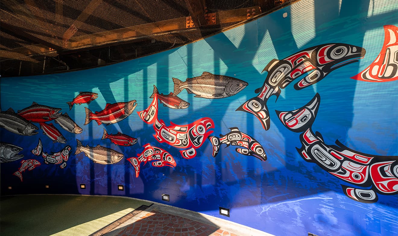 Ocean Travelers mural, depicting salmon migrating, in the styles of Ray Troll and Coast Salish artist Marven E Oliver. navigation