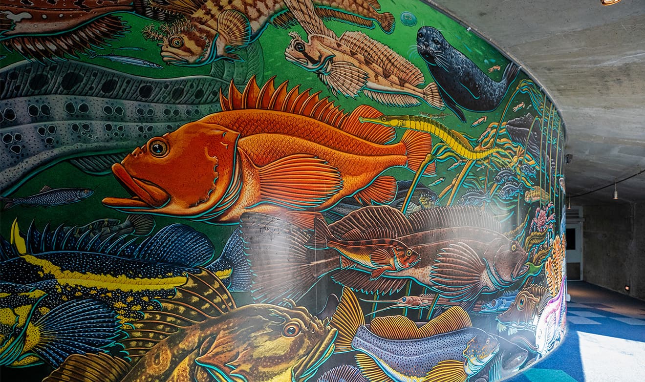 Salish Seascape mural, depicting different animals that life in the Salish Sea.