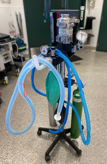 Gas anesthesia machine with a slender gas tank and multiple hoses attached.