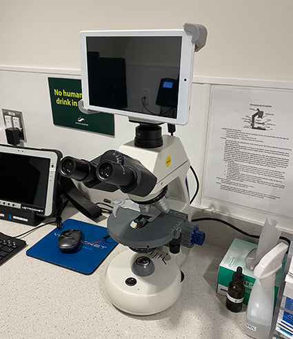 A large microscope with a small screen attached to the top.