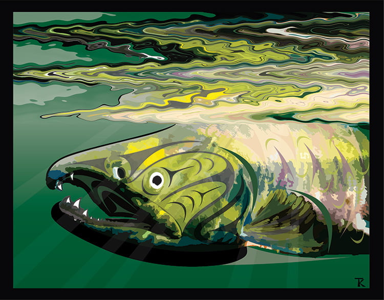 Artistic illustration of a salmon swimming with its back against the surface of water.