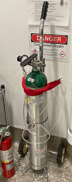 Slender oxygen tank on a dolly.