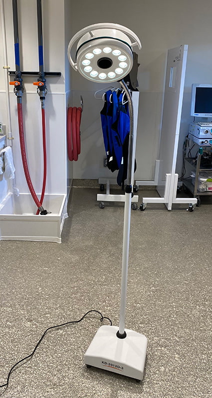 Moveable standing light placed in the center of a floor.