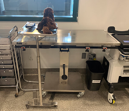 A large metal surgical table inside a room, a stuffed otter toy is placed atop a tray next to the table.