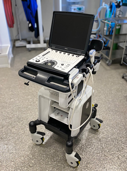 A portable ultrasound unit with a viewing screen on a movable cart.