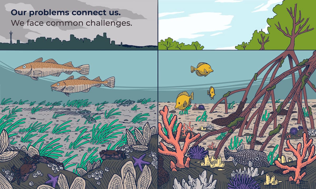 A split illustration of two different marine ecosystems. The illustration on the left shows the Seattle skyline and two fish swimming underwater amongst purple crabs, sea stars, barnacles, and sea grass. The right illustration shows large mangrove trees stretching into the water; yellow tangs and white spotted boxfish swim beneath the mangroves amongst anemones and corals. Text in the top left corner of the image reads "Our problems connect us. We face common challenges."