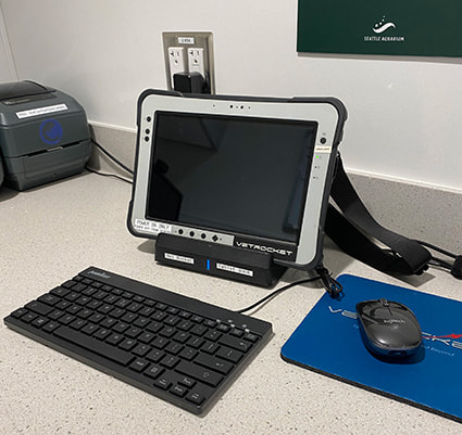 A small tablet used for viewing x-rays propped on a stand alongside a small keyboard and mouse.