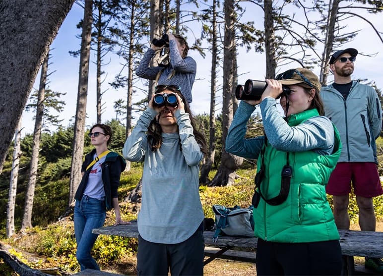 Three researchers observing otters on a beach; three of the researchers are holding binoculars up to their eyes.