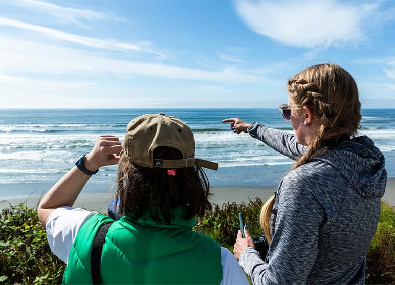 Two researchers stand on a beach overlooking the ocean.