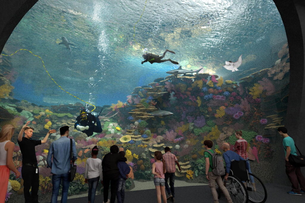 Concept rendering of visitors standing in front of the reef habitat in the Seattle Aquarium's future Ocean Pavilion building.