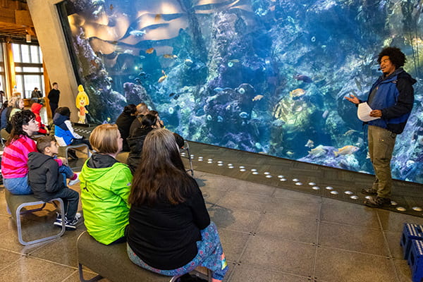 Seattle Aquarium visitors listening to a presentation from an Aquarium staff member at the Window on Washington Waters habitat in Pier 59.