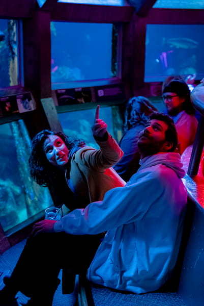 Two people sitting in the Underwater Dome habitat. They are both looking up, and one of them is pointing at something above their heads.