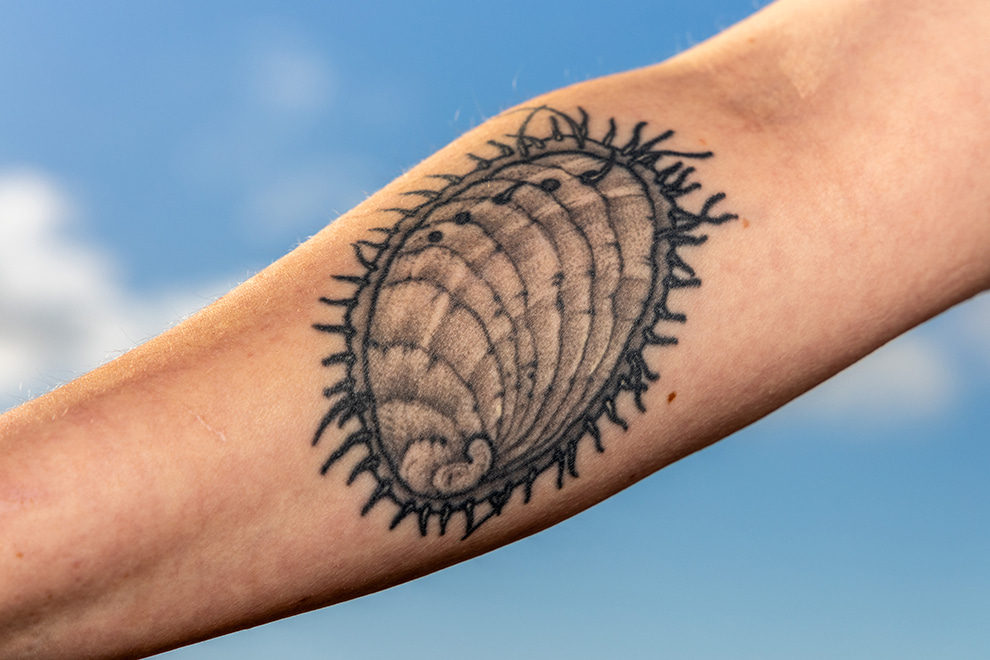 A close-up of Bailey's pinto abalone tattoo on her forearm.