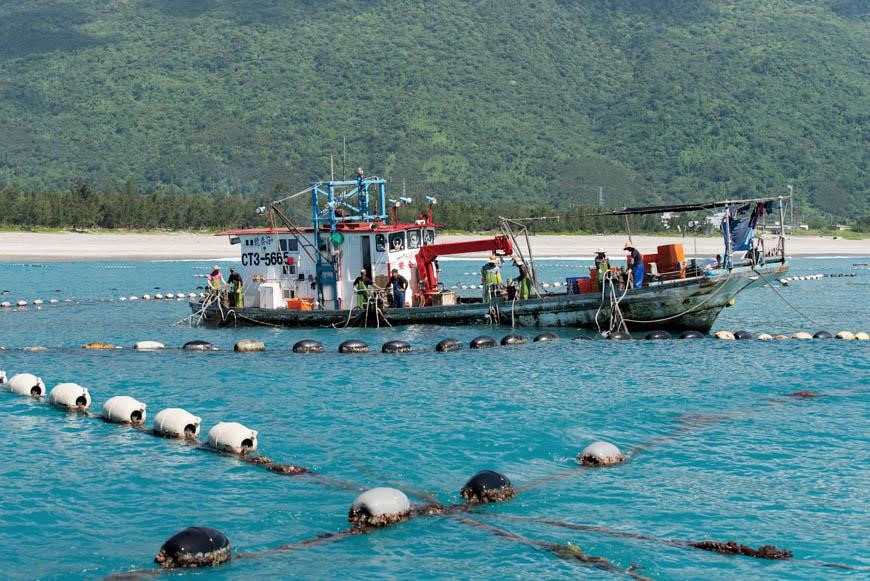 A commercial fishing vessel deploying large nets near the sandy shore of a beach.