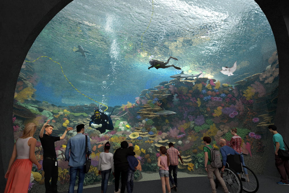 A digital rendering of the future Reef habitat at the Seattle Aquarium's Ocean Pavilion. The Reef features a large, circular, floor-to-ceiling glass wall that looks into a vast coral reef ecosystem.