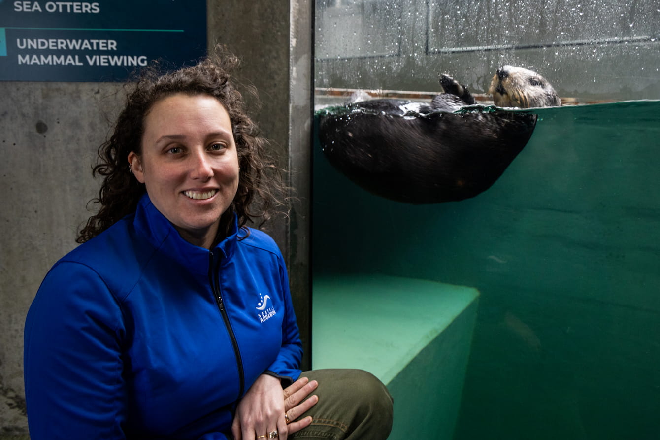 Lindy McMorran crouching next to the sea otter habitat at the Seattle Aquarium. Lindy has long, curly hair and wears a blue Seattle Aquarium zip-up. Sekiu the sea otter swims behind her.