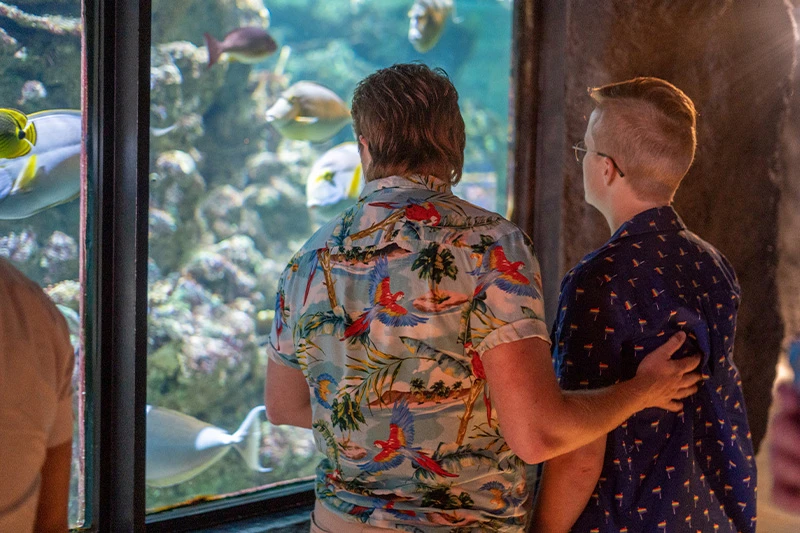 Two people watching fish swim in their habitat at the Seattle Aquarium. Both people are wearing short-sleeved button-down shirts.